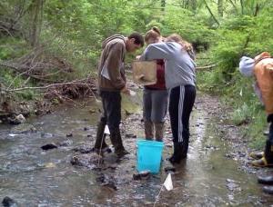 students in stream inspect animals